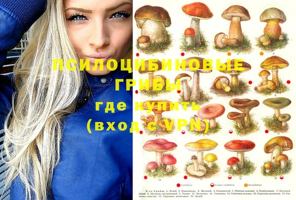 герыч Аркадак