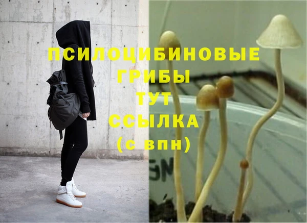 MESCALINE Арсеньев